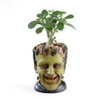 鉢植木鉢多肉植物寄せ植え装飾フラワーポットガーデンポット観葉植物屋内プラン...