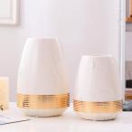  цветок основа украшение ваза белый Gold золотой .. вход простой интерьер модный сырой . цветок керамика Country living симпатичный дизайн French смешанные товары 