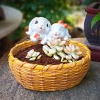 プランターうさぎかわいいバスケット...