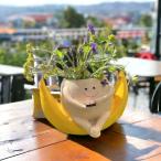 プランター鉢植えかわいい樹脂植木鉢寄せ植えイエロー黄色多肉植物ガーデニング...