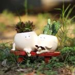 プランターかわいい鉢植え植木鉢ホワイト樹脂庭寄せ植え多肉植物ガーデニング雑...