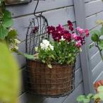 バスケットメタルワイヤー吊りバスケットメッシュ寄せ植えヴィンテージ調ガーデ...