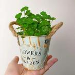 フラワーポットヴィンテージ調メタル寄せ植え屋内屋外ホワイト多肉植物植木鉢プ...