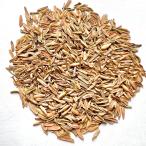 * семена 50 шарик pakipotiumgla сверло s2026 поступление семена Pachypodium rosulatum var. gracilius вид 