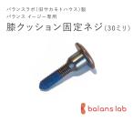 バランスラボ製バランス イージー：アフターパーツ／膝クッション固定ネジ