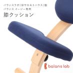 バランスラボ製バランスチェア・イージー：アフターパーツ／膝クッション(木製ピン2本・固定ネジ2本付)
