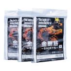 新品 株式会社GLANd 株式会社GLANd 金剛筋Ｔシャツ 加圧シャツ インナー 白 Mサイズ 3枚セット a1