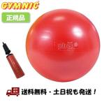 (ポンプ付) ギムニク (GYMNIC) PLUS (プラス) 55 赤 レッド LP9528 イタリア製 バランスボール  ポンプ 空気 入れ -正規品-
