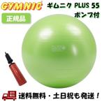 ショッピンググリーン ギムニク プラス 55 GYMNIC PLUS ライムグリーン 緑 ポンプ付 LP9539 イタリア製 バランスボール 55cm Lime Green ポンプ 空気 入れ -正規品-