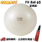 ギムニク GYMNIC バランスボール フィットボール 65cm パールホワイト Fit Ball ギムニクプラス アンチバースト 女性 男性 空気入れ ポンプ付 65 cm -正規品-