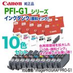ショッピングcanon 【純正品 10色セット】 Canon／キヤノン PFI-G1 シリーズ インクタンク （顔料インク） 新品 （PRO-G1 対応）