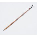 ºÙ»úÍÑÉ® ½ñÆ»¾®É®¡¡¥¤¥¿¥ÁÌÓ¡¡·Â 0.5cm¡¡Ä¹¤µ 2.0cmÁ÷ÎÁ̵ÎÁ