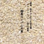 国産スーパー大麦 5kg 愛知県産 高β-グルカン大麦品種 ビューファイバー 100% β-グルカン値 10.44g〜12.3g/100g中 スーパー大麦 大麦ご飯 お得 麦飯
