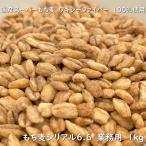 もち麦シリアル6.6 業務用 1kg 【送料無料】高 β-グルカン もち性 ワキシーファイバー 大麦シリアル 食物繊維 国産 大麦 スーパーもち麦  シリアル 朝食