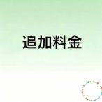 追加料金