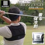 保冷剤 ベスト 猛暑対策 アイスエナジー ウェア プロフィットベスト 保冷剤セット 暑さ 保冷 長持ち 背中を冷やす アイスリュック 凍結 熱中症対策 23cool iewv