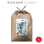 令和5年産 産地直送 新