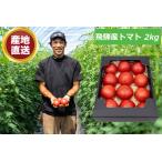産地直送 大玉トマト 飛騨高山の朝採れトマト 下本農園 飛騨産トマト 2kg 麗月（れいげつ）一箱2kg（大玉約12個）岐阜県トマト