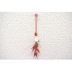 [ почтовая доставка OK] красный острый перец перец стручковый ремешок керамика . главный 10 2 главный . змея 