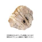 ウッドコースター