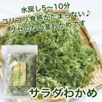  экономичный ... черепаха стебель салат большая вместимость ko Rico li новый еда чувство! салат . черепаха 540g