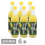山原うまれのシークワーサー 500ml ×6本セット 送料無料 沖縄産 山原 シークヮーサー 原液 100% ストレート ノビレチン ジュース 琉球フロント