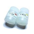 フレックスコート  エポキシコーティング剤 500gセット【ウルトラV】