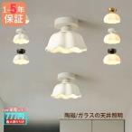 ショッピング照明 照明器具 シーリングライト led 北欧 おしゃれ 6畳 ガラス/陶磁 和風 寝室 廊下 子供部屋 和室 玄関 室内 ダイニング キッチン リビング 天井 インテリア照明