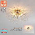 AAAZM シーリングライト 4〜8畳 LED電球 北欧寝室 おしゃれ 天井照明器具 蒲公英 シャンデリア リビング ベッドルーム 玄関廊下 ダイニング キッチン 和風和室