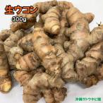  сырой куркума ( осень куркума ) 300g