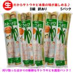 【送料無料】B級訳あり 沖縄県産 生さとうきび(サトウキビ) 食用 約25cm 2〜4本入り×5