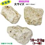 ショッピング琉球 【送料無料】K 琉球石灰岩　未洗浄　大サイズ　19〜21kg(3〜4個)