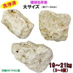 ショッピング琉球 【送料無料】L 琉球石灰岩　洗浄済　大サイズ　19〜21kg(3〜4個)