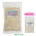 沖縄　海アート砂　100g　(つぶまるおまけ付き)