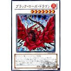 ブラックローズドラゴン(ウルトラ)/シン7炎 遊戯王