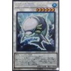 白闘気海豚(コレクターズ)/シン6水 遊戯王