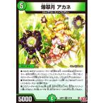 爆翠月 アカネ(R)(21/76) デュエルマスターズ