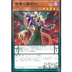 紫毒の魔術師(スーパー)[QCCU-JP086] 遊戯王