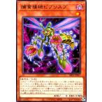 捕食植物ビブリスプ[高価N]/新48-9闇 遊戯王
