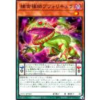 ショッピングフォリフォリ 捕食植物ブフォリキュラ(高価N) 遊戯王