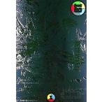 新世界王の創造(VR)(4/6)【DMART-08】 デュエルマスターズ