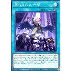 ショッピング遊戯王 禁じられた一滴(ノーマル)(TT01-JPA24) 遊戯王