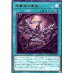 黒薔薇の華園(高価N) 遊戯王