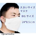 大きめサイズKN94マスク50枚個...