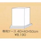 ミニチュアドレス専用ケース
