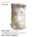 SEE SAW / シーソー　ヘア＆スキャルプシャンプーB　BALANCE / バランス　 2500mL(詰替)