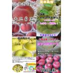 川中島白桃（秀大玉6玉）シャインマスカット１ｋｇ、シナノスイート、シナノゴールド各３kg秀品（りんご ...