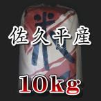 新米　お米　米 10kg 長野県 白米 特A米 佐久平産コシヒカリ 10kg 6年度
