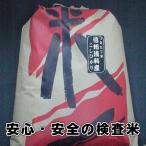 お米　米 10kg ５年度米　送料無料！長野県旧浅科村産特A米10Kg　精米したてで出荷