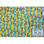 55cmX45cm 生地 郷家啓子 YU